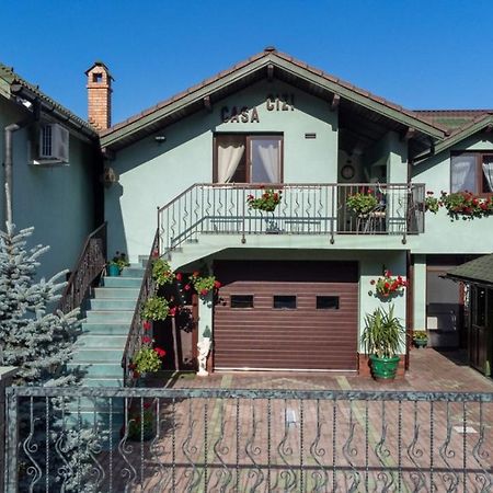 Casa Cizi Ξενοδοχείο Călimăneşti Εξωτερικό φωτογραφία