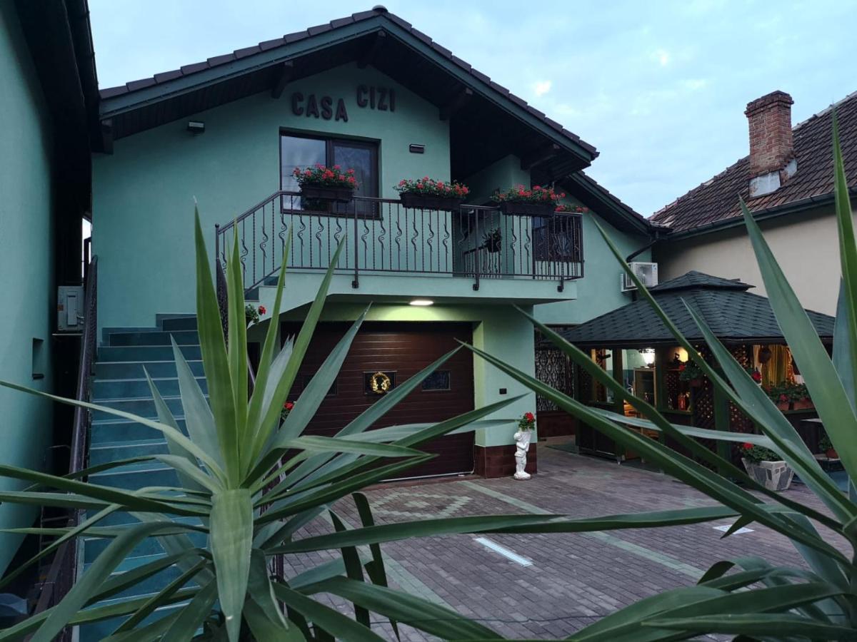Casa Cizi Ξενοδοχείο Călimăneşti Εξωτερικό φωτογραφία