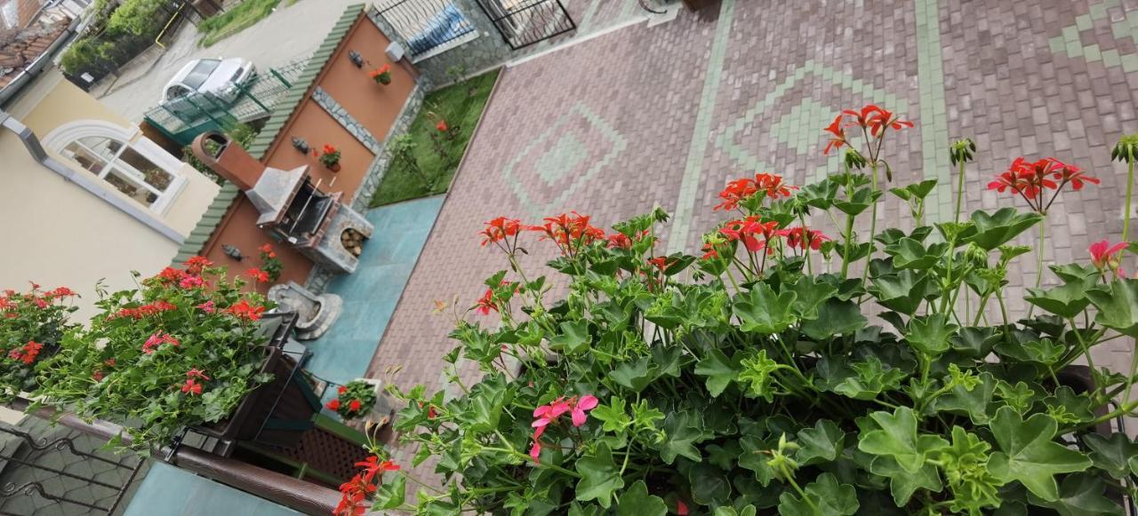 Casa Cizi Ξενοδοχείο Călimăneşti Εξωτερικό φωτογραφία