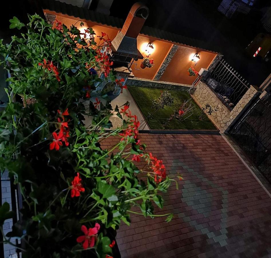 Casa Cizi Ξενοδοχείο Călimăneşti Εξωτερικό φωτογραφία