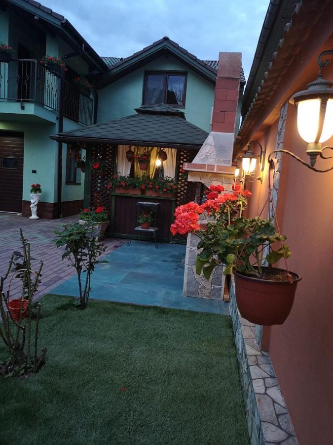 Casa Cizi Ξενοδοχείο Călimăneşti Εξωτερικό φωτογραφία