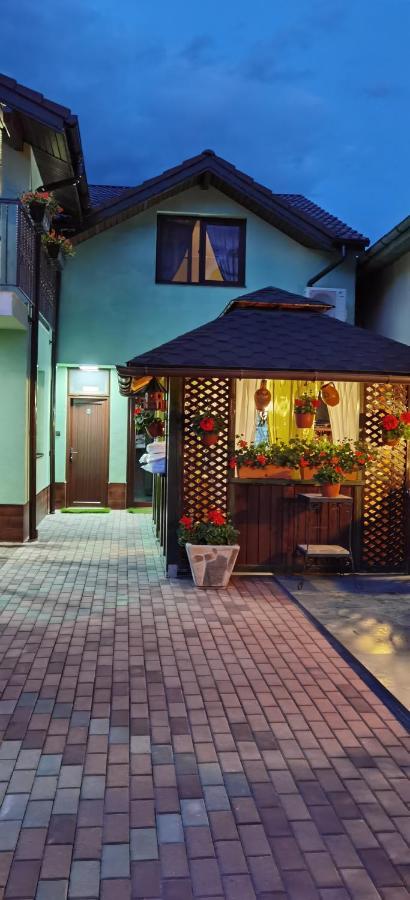 Casa Cizi Ξενοδοχείο Călimăneşti Εξωτερικό φωτογραφία