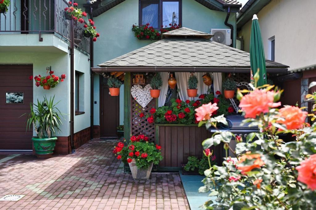 Casa Cizi Ξενοδοχείο Călimăneşti Εξωτερικό φωτογραφία
